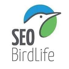 logo-seo-birdlife
